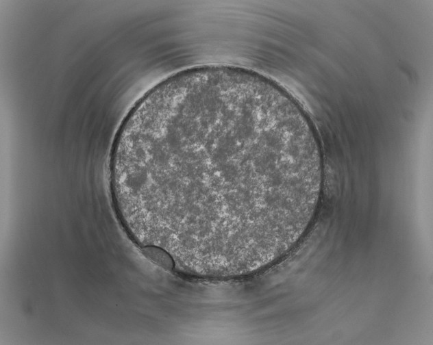X0000111230895200908131120