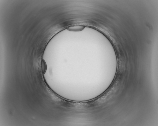 X0000111230897200908131120