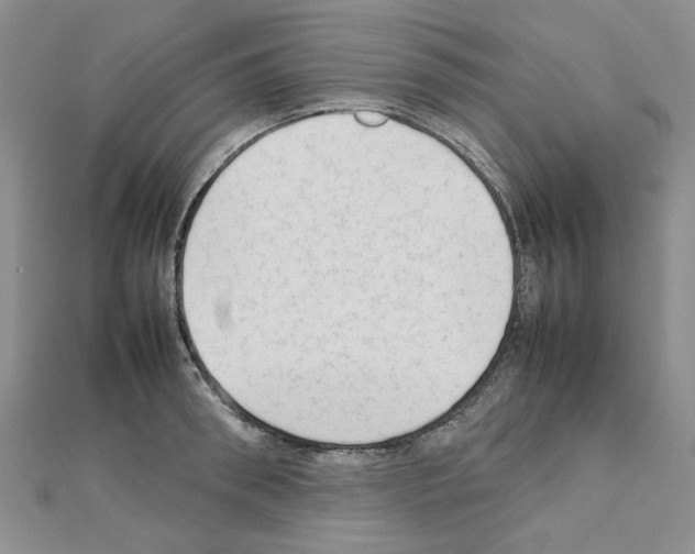 X0000111230898200908131120