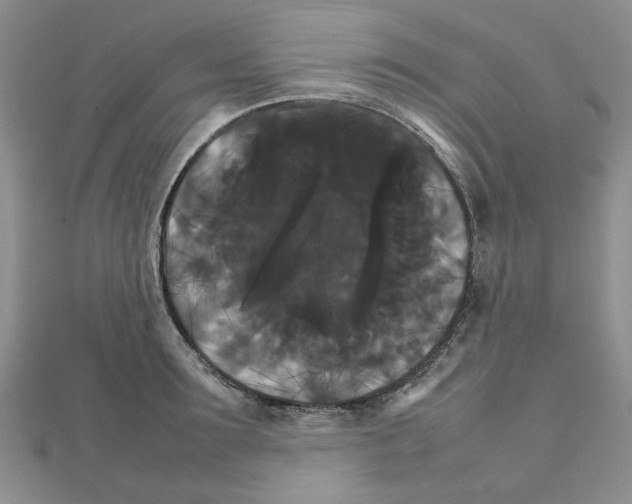 X0000111230899200908131120