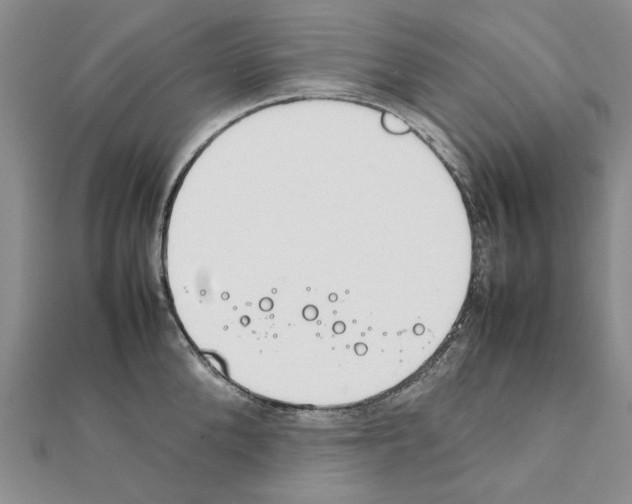 X0000111230904200908131120