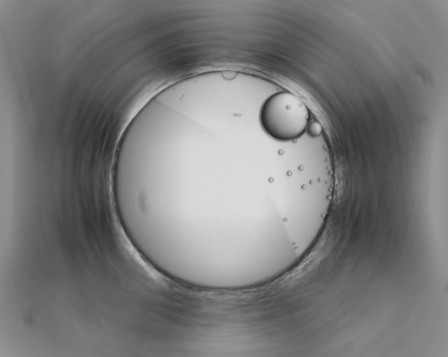 X0000111230906200908131120