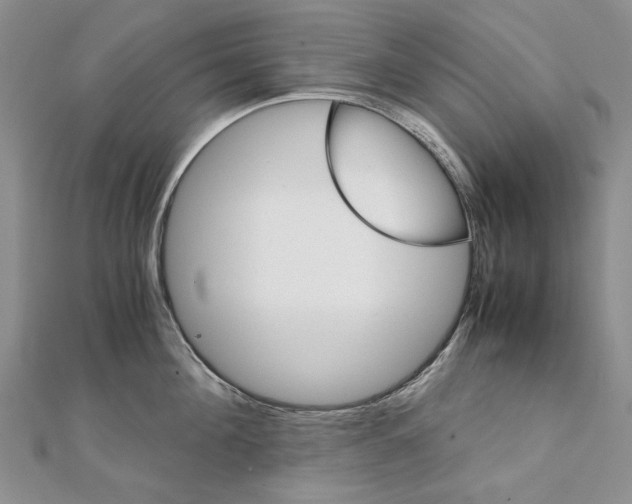 X0000111230908200908131120