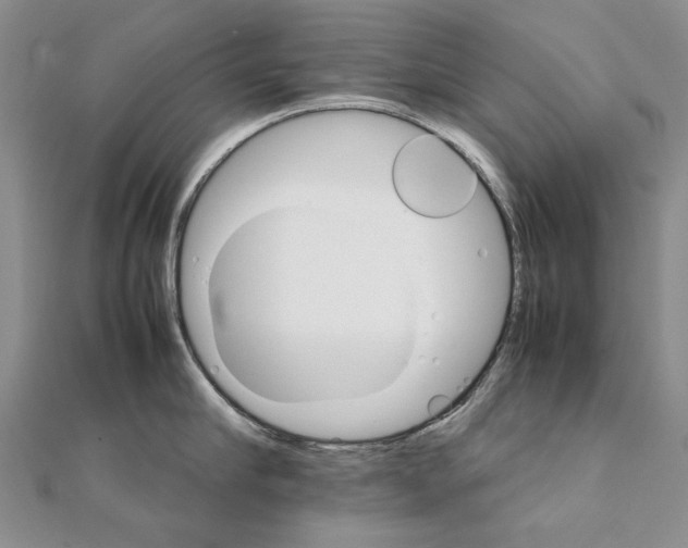X0000111230910200908131120