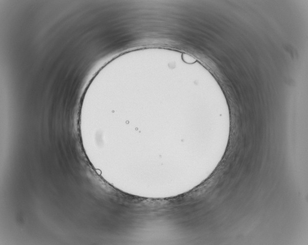 X0000111230912200908131120
