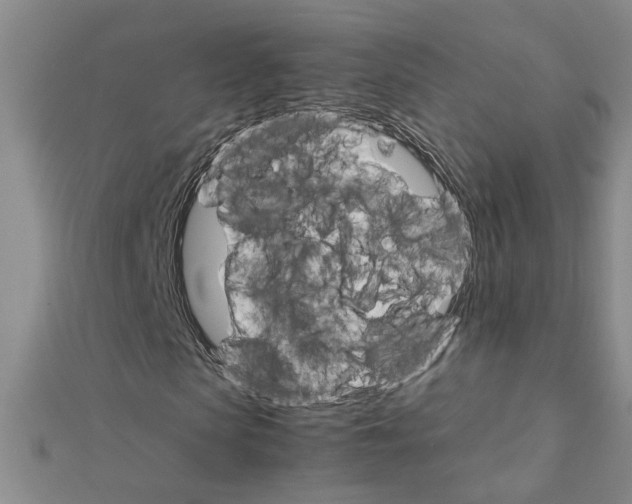 X0000111230913200908131119