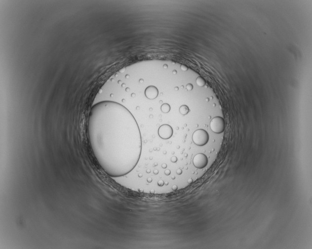 X0000111230914200908131119