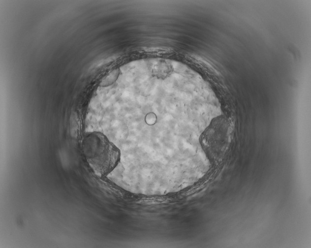 X0000111230917200908131119