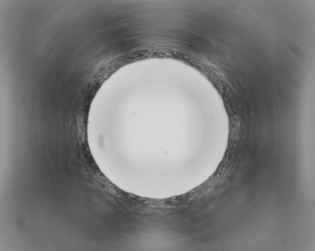 X0000111230918200908131119
