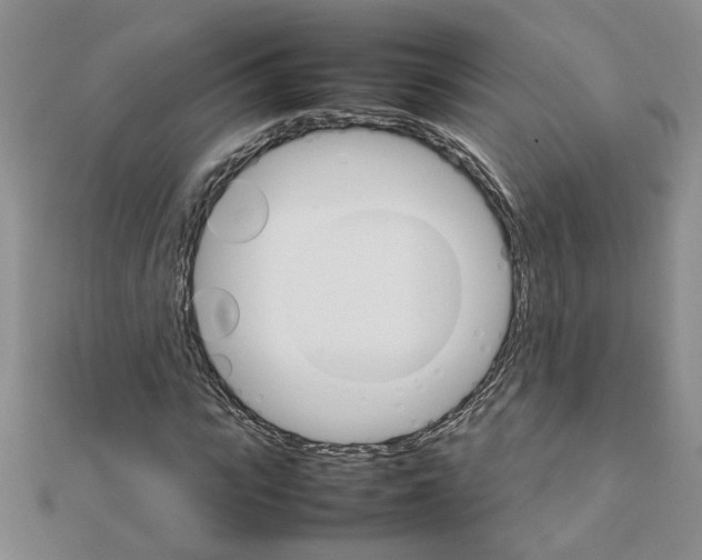 X0000111230919200908131119