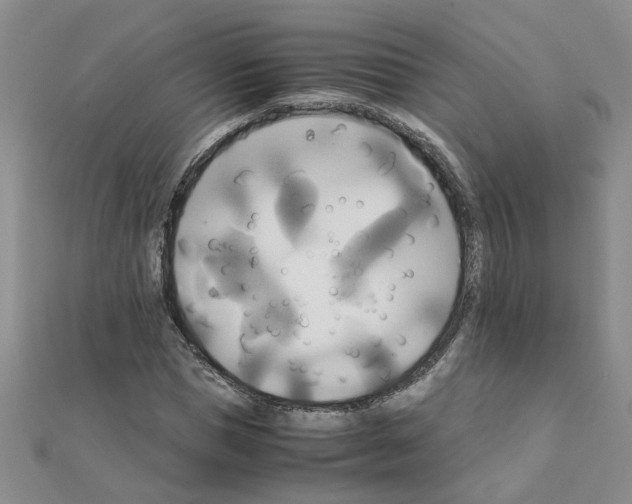 X0000111230921200908131119