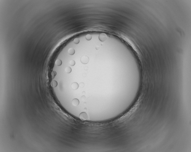 X0000111230923200908131119