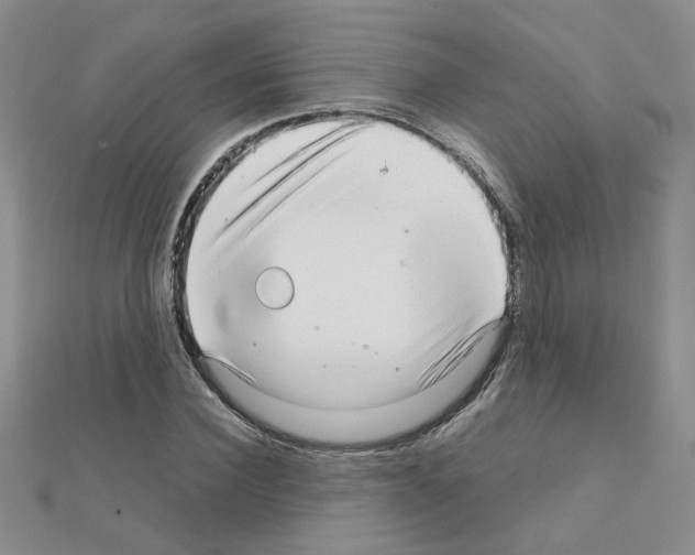 X0000111230924200908131119