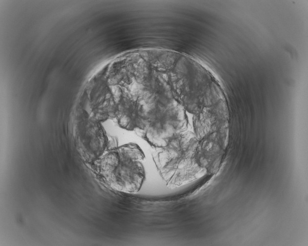 X0000111230925200908131119