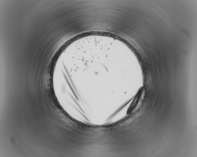 X0000111230926200908131119