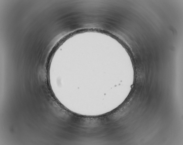 X0000111230927200908131120