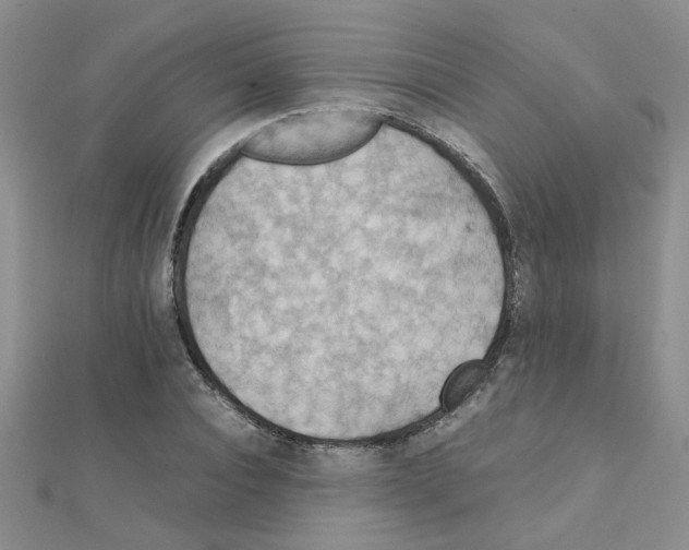 X0000111230928200908131120