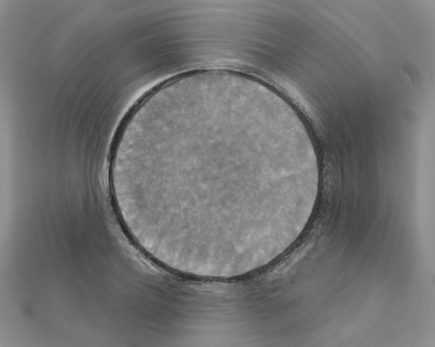 X0000111230932200908131120