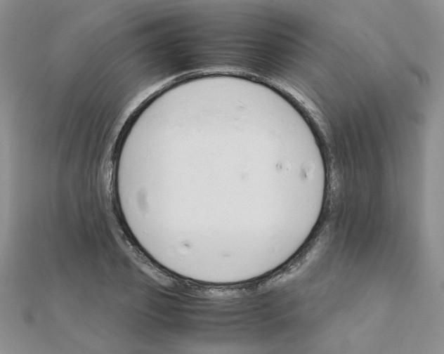 X0000111230933200908131120