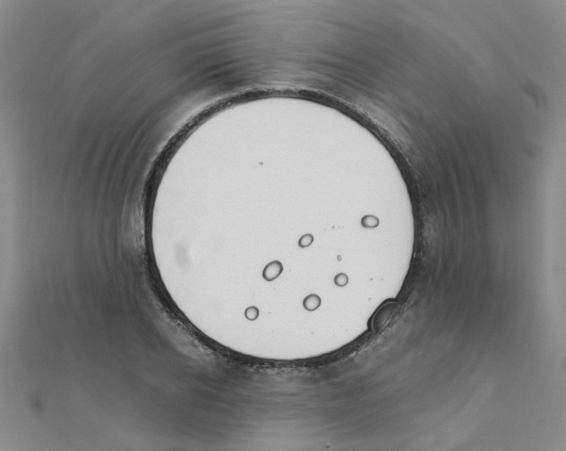 X0000111230934200908131120