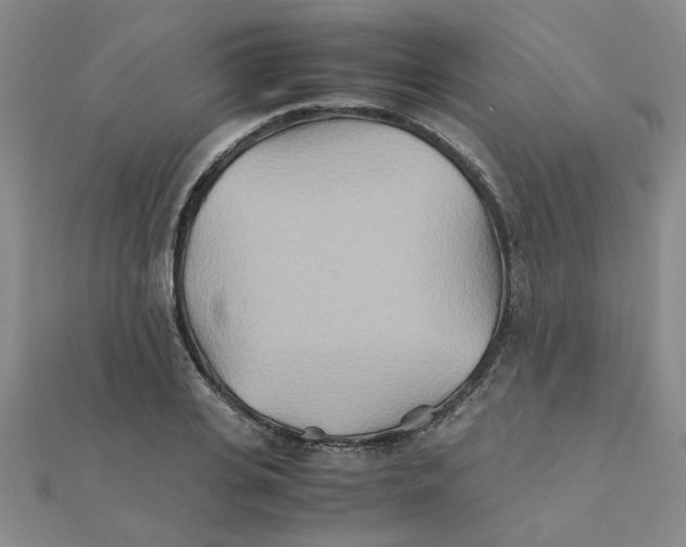X0000111230935200908131120