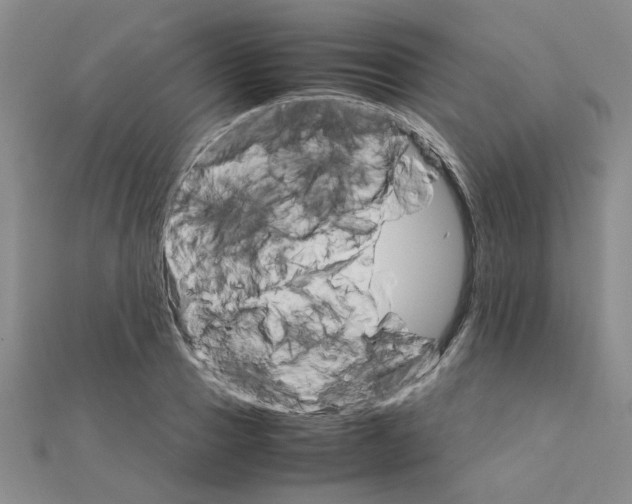 X0000111230937200908131120