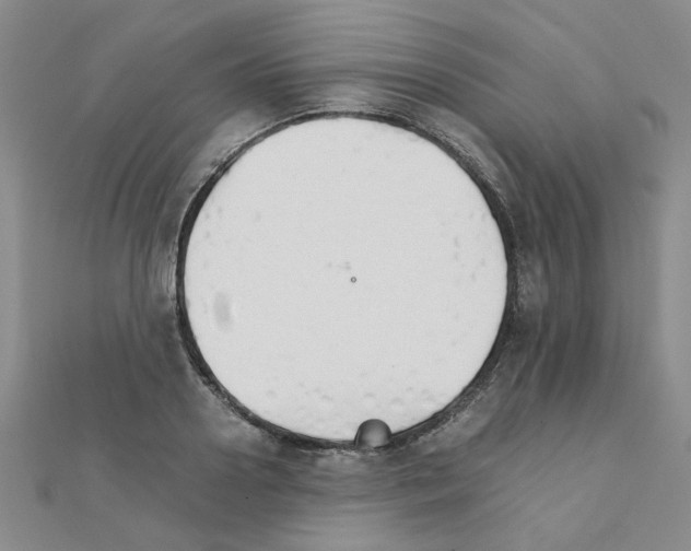 X0000111230938200908131120