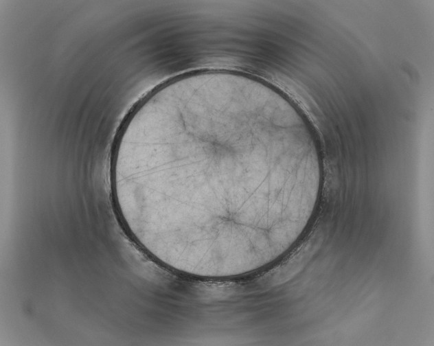 X0000111230939200908131120