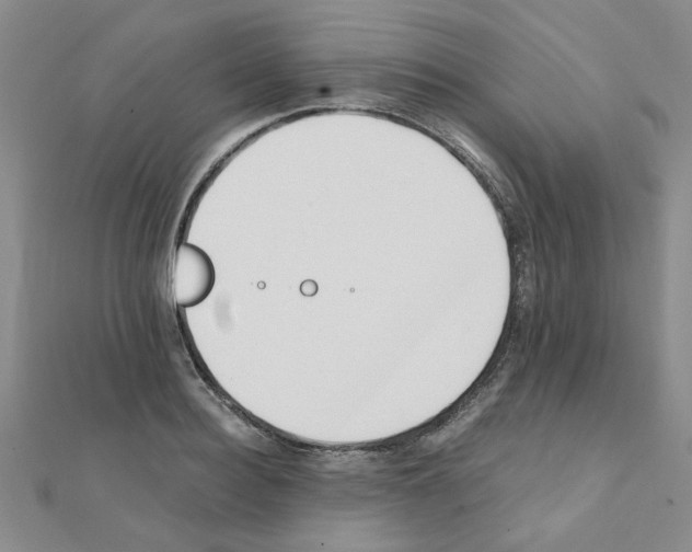 X0000111230940200908131120