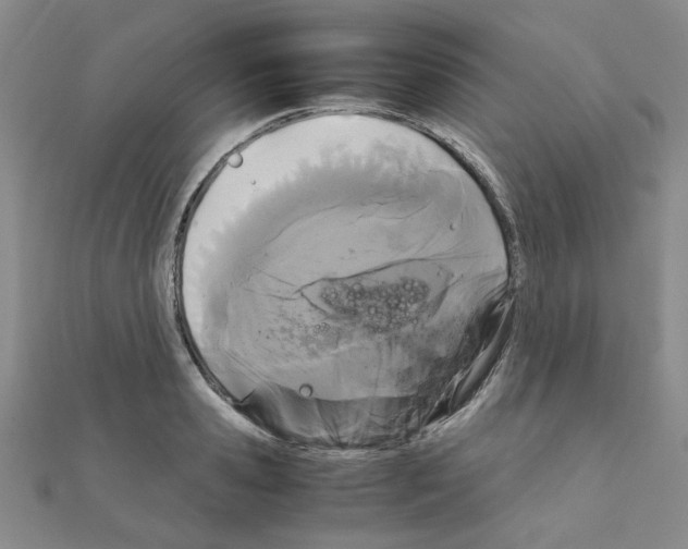 X0000111230941200908131120