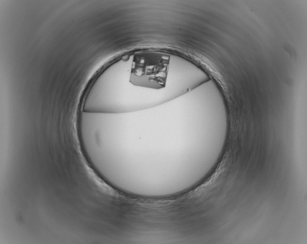 X0000111230942200908131120