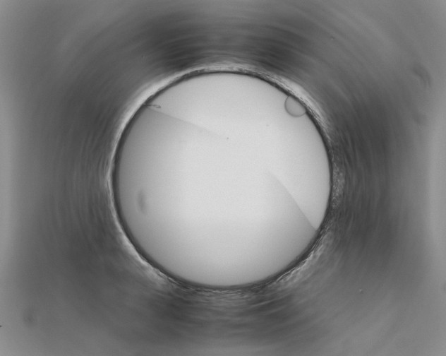 X0000111230943200908131120