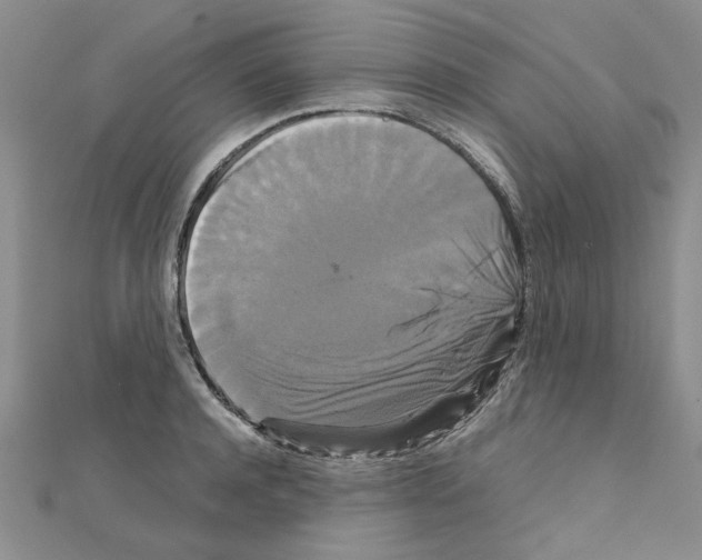 X0000111230944200908131120