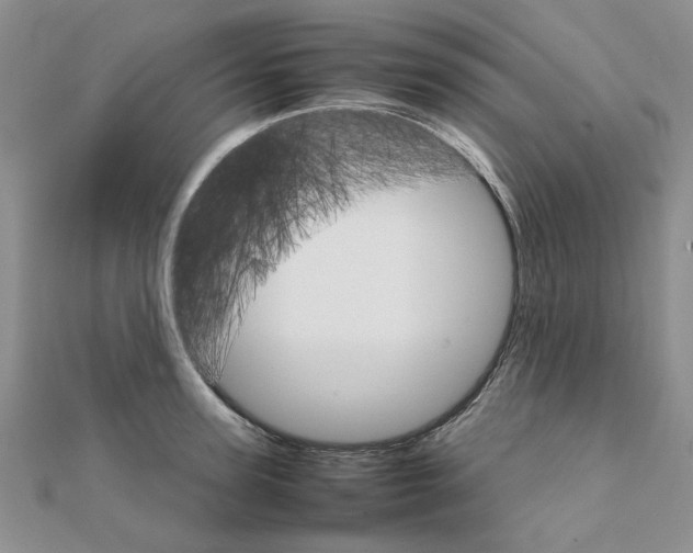X0000111230947200908131120