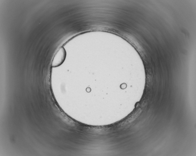 X0000111230948200908131120