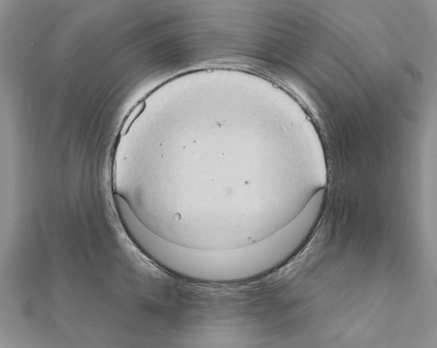 X0000111230952200908131120