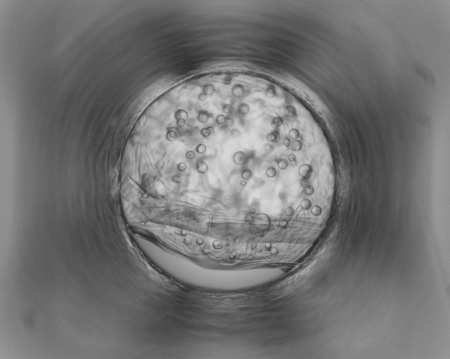 X0000111230953200908131120