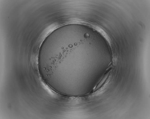 X0000111230954200908131120