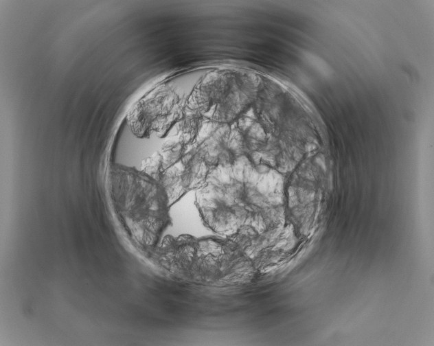 X0000111230957200908131120