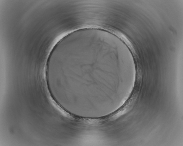 X0000111230958200908131120