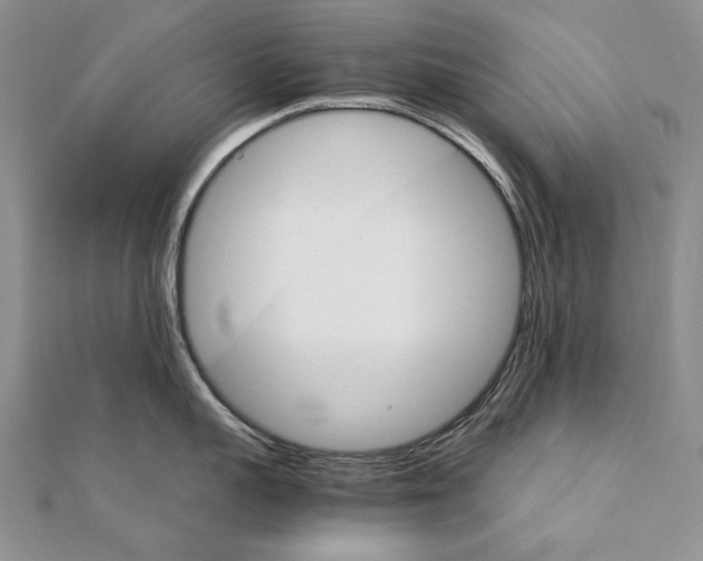 X0000111230959200908131120