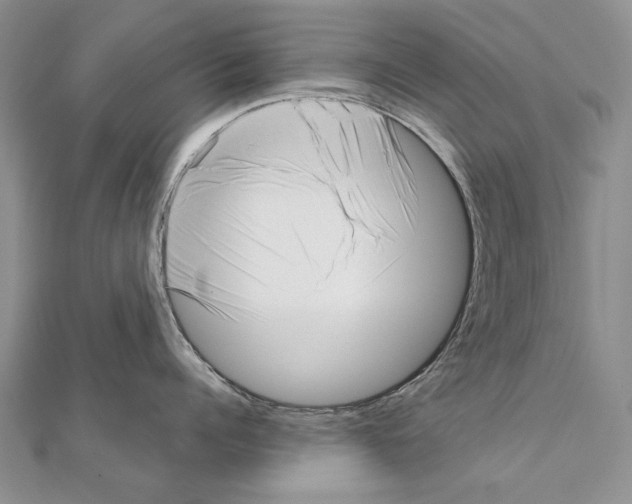 X0000111230960200908131120