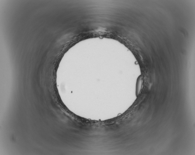 X0000111230961200908131119