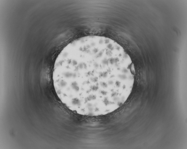 X0000111230962200908131119