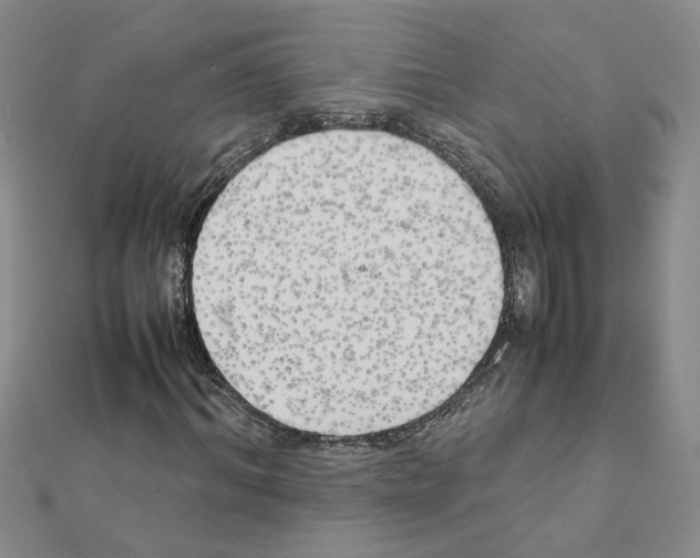 X0000111230964200908131119