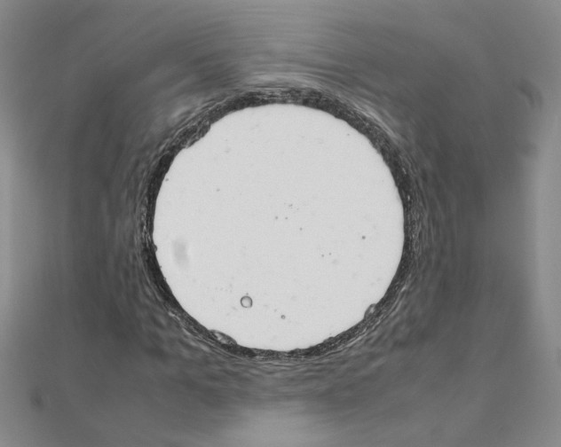 X0000111230965200908131119
