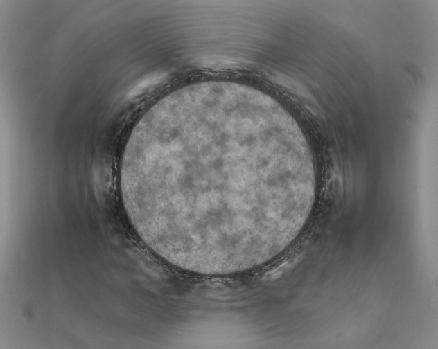 X0000111230966200908131119