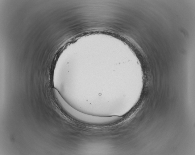 X0000111230969200908131119