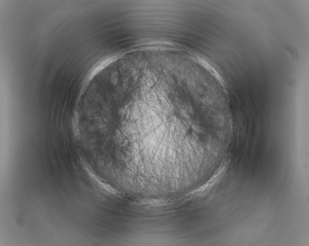 X0000111230970200908131119