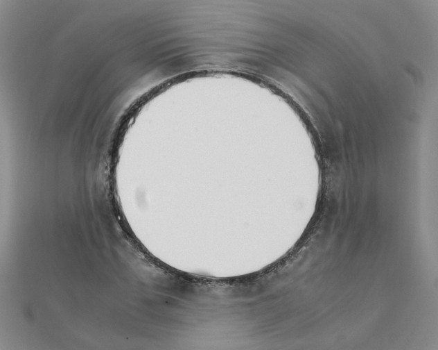 X0000111230971200908131119
